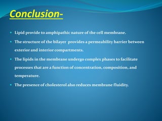 Conclusion-
 Lipid provide to amphipathic nature of the cell membrane.
 The structure of the bilayer provides a permeability barrier between
exterior and interior compartments.
 The lipids in the membrane undergo complex phases to facilitate
processes that are a function of concentration, composition, and
temperature.
 The presence of cholesterol also reduces membrane fluidity.
 