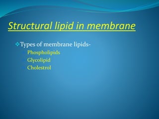 Structural lipid in membrane
Types of membrane lipids-
 Phospholipids
 Glycolipid
 Cholestrol
 