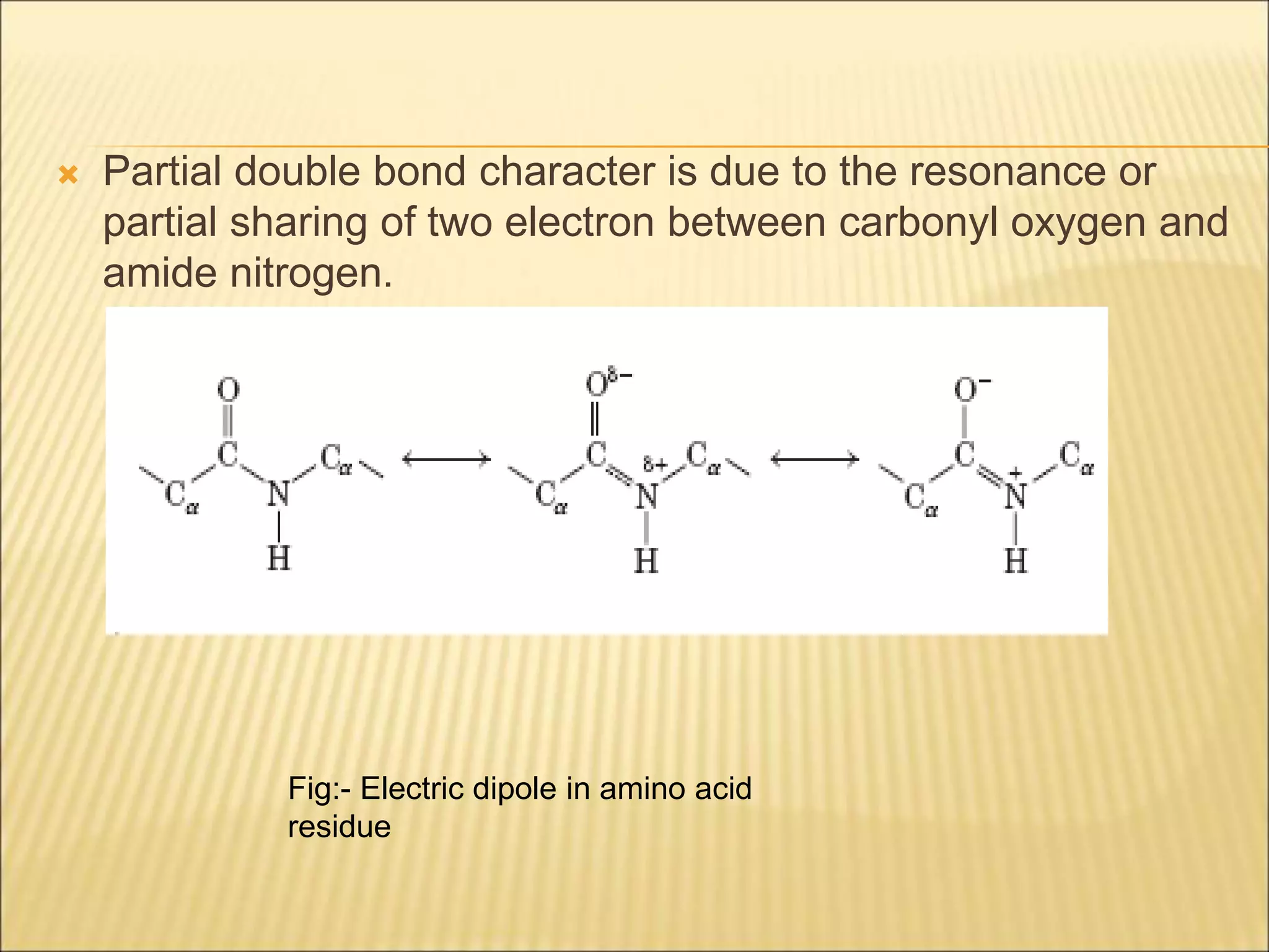 Primary structure of protein by KK Sahu sir | PPT