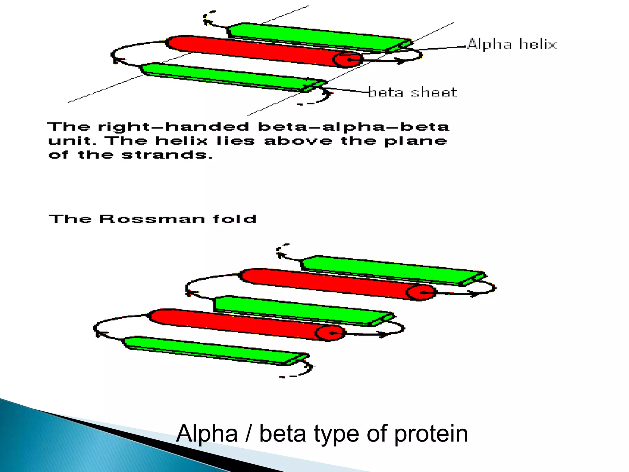 Protein motif. by KK Sahu sir | PPT