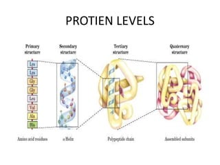 Quaternary structure of protein By KK Sahu Sir | PPTX