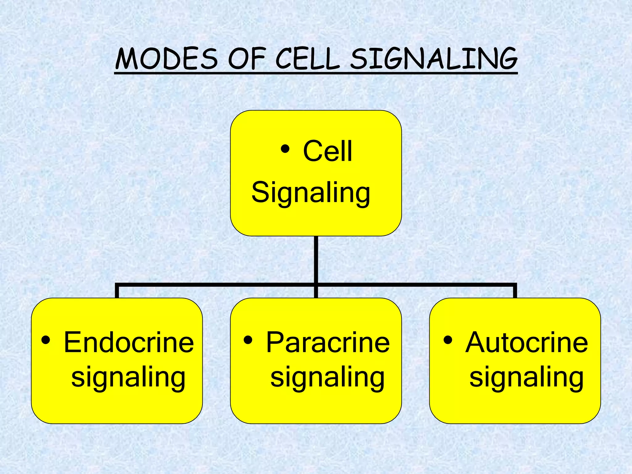 MODES OF CELL SIGNALING
• Cell
Signaling
• Endocrine
signaling
• Paracrine
signaling
• Autocrine
signaling
 