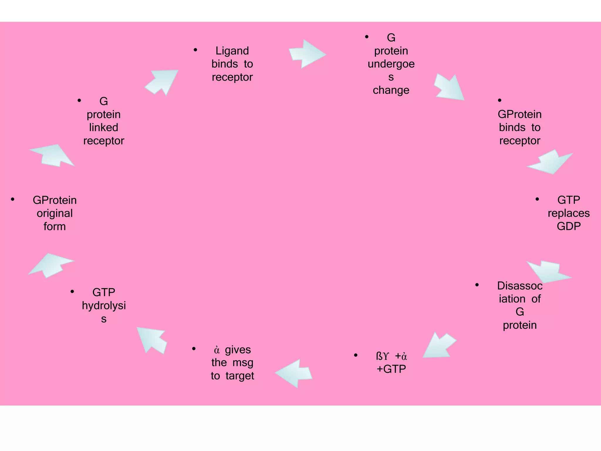 • G
protein
undergoe
s
change
•
GProtein
binds to
receptor
• GTP
replaces
GDP
• Disassoc
iation of
G
protein
• ßϒ +ἀ
+GTP
• ἀ gives
the msg
to target
• GTP
hydrolysi
s
• G
protein
linked
receptor
• Ligand
binds to
receptor
• GProtein
original
form
 