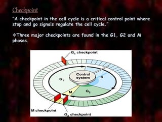 Control of cell cycle | PPTX | Cancer | Diseases and Conditions