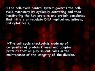 Control of cell cycle | PPTX | Cancer | Diseases and Conditions