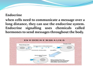 Signal transduction mechanism | PPTX