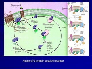 Signal transduction process | PPT