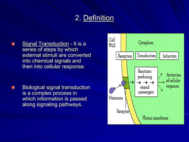 Signal transduction process | PPT | Biological Sciences | Science