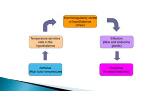 Temperature Stimuli BIOLOGY FORM 5:3.1-COORDINATION AND RESPONSE | PPTX