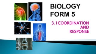 3.1COORDINATION
AND
RESPONSE
BIOLOGY
FORM 5
 