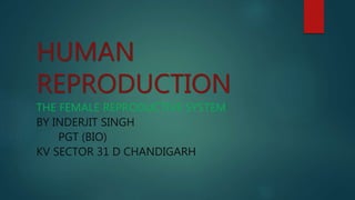 HUMAN
REPRODUCTION
THE FEMALE REPRODUCTIVE SYSTEM
BY INDERJIT SINGH
PGT (BIO)
KV SECTOR 31 D CHANDIGARH
 