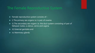The Female Reproductive System
 Female reproductive system consists of: -
 i) The primary sex organs i.e. is pair of ova...