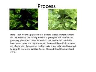Process
Here I took a close up picture of a plant to create a forest like feel
for the movie as the setting which is a graveyard will have lots of
greenery, plants and trees. As well as that, on the left hand side I
have toned down the brightness and darkened the middle area on
my phone with the contrast tool to make it more dark and haunted
to go with the scene as it is a horror film and should look evil and
eerie.
 