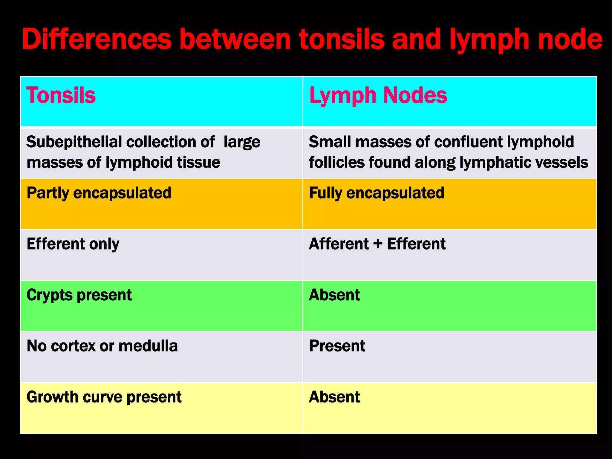 Differences between tonsils and lymph node
Tonsils Lymph Nodes
Subepithelial collection of large
masses of lymphoid tissue
Small masses of confluent lymphoid
follicles found along lymphatic vessels
Partly encapsulated Fully encapsulated
Efferent only Afferent + Efferent
Crypts present Absent
No cortex or medulla Present
Growth curve present Absent
 