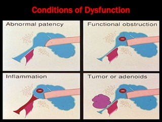 Conditions of Dysfunction
 