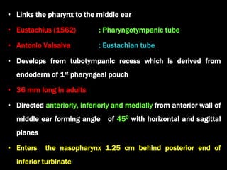 • Links the pharynx to the middle ear
• Eustachius (1562) : Pharyngotympanic tube
• Antonio Valsalva : Eustachian tube
• Develops from tubotympanic recess which is derived from
endoderm of 1st pharyngeal pouch
• 36 mm long in adults
• Directed anteriorly, inferiorly and medially from anterior wall of
middle ear forming angle of 450 with horizontal and sagittal
planes
• Enters the nasopharynx 1.25 cm behind posterior end of
inferior turbinate
 