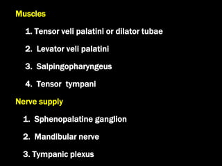Muscles
1. Tensor veli palatini or dilator tubae
2. Levator veli palatini
3. Salpingopharyngeus
4. Tensor tympani
Nerve supply
1. Sphenopalatine ganglion
2. Mandibular nerve
3. Tympanic plexus
 