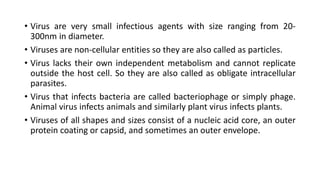 3. structure of viruses | PPTX