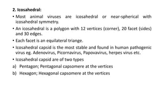 3. structure of viruses | PPTX
