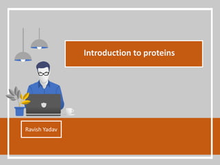 Introduction to proteins
Ravish Yadav
 