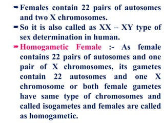 Females contain 22 pairs of autosomes
and two X chromosomes.
So it is also called as XX – XY type of
sex determination in human.
Homogametic Female :- As female
contains 22 pairs of autosomes and one
pair of X chromosomes, its gametes
contain 22 autosomes and one X
chromosome or both female gametes
have same type of chromosomes and
called isogametes and females are called
as homogametic.
 