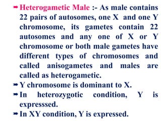Heterogametic Male :- As male contains
22 pairs of autosomes, one X and one Y
chromosome, its gametes contain 22
autosomes and any one of X or Y
chromosome or both male gametes have
different types of chromosomes and
called anisogametes and males are
called as heterogametic.
Y chromosome is dominant to X.
In heterozygotic condition, Y is
expresssed.
In XY condition, Y is expressed.
 