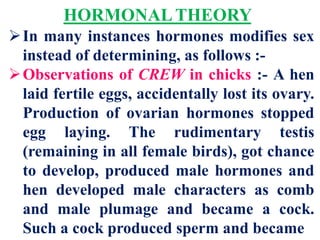 HORMONAL THEORY
In many instances hormones modifies sex
instead of determining, as follows :-
Observations of CREW in chicks :- A hen
laid fertile eggs, accidentally lost its ovary.
Production of ovarian hormones stopped
egg laying. The rudimentary testis
(remaining in all female birds), got chance
to develop, produced male hormones and
hen developed male characters as comb
and male plumage and became a cock.
Such a cock produced sperm and became
 