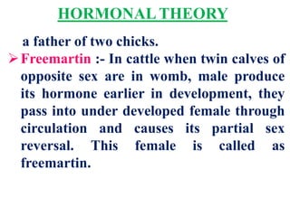 HORMONAL THEORY
a father of two chicks.
Freemartin :- In cattle when twin calves of
opposite sex are in womb, male produce
its hormone earlier in development, they
pass into under developed female through
circulation and causes its partial sex
reversal. This female is called as
freemartin.
 