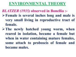 ENVIRONMENTAL THEORY
BLATZER (1935) observed in Bonellia :-
Female is several inches long and male is
very small living in reproductive tract of
female.
The newly hatched young worm, when
reared in isolation, became a female but
when in water containing mature females,
some attach to proboscis of female and
became males.
 
