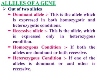 ALLELES OF A GENE
 Out of two alleles
 Dominant allele :- This is the allele which
is expressed in both homozygotic and
heterozygotic conditions.
 Recessive allele :- This is the allele, which
is expressed only in heterozygous
condition.
 Homozygous Condition :- If both the
alleles are dominant or both recessive.
 Heterozygous Condition :- If one of the
alleles is dominant or and other is
recessive.
 