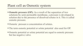 Plant cell as Osmotic system
 Osmotic pressure (OP): As a result of the separation of two
solutions by semi permeable membrane, a pressure is developed in
solution due to the presence of dissolved solutes in it. This is called
osmotic pressure.
 Osmotic pressure α concentration of solutes.
 The term osmotic potential or solute potential also used for OP.
 Osmotic potential or solute potential are equal to osmotic pressure
but has negative valve.
 