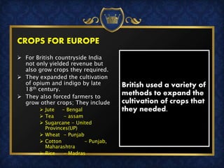 CROPS FOR EUROPE
 For British countryside India
not only yielded revenue but
also grow crops they required.
 They expanded the cultivation
of opium and indigo by late
18th century.
 They also forced farmers to
grow other crops; They include
 Jute - Bengal
 Tea - assam
 Sugarcane - United
Provinces(UP)
 Wheat - Punjab
 Cotton - Punjab,
Maharashtra
 Rice - Madras
British used a variety of
methods to expand the
cultivation of crops that
they needed.
 