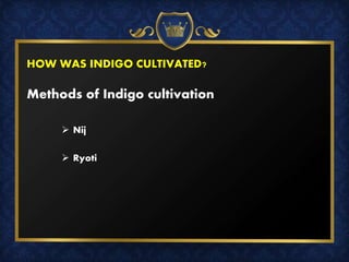 HOW WAS INDIGO CULTIVATED?
Methods of Indigo cultivation
 Nij
 Ryoti
 