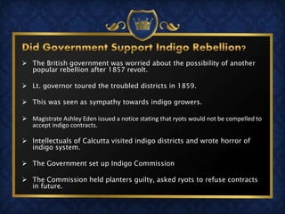  The British government was worried about the possibility of another
popular rebellion after 1857 revolt.
 Lt. governor toured the troubled districts in 1859.
 This was seen as sympathy towards indigo growers.
 Magistrate Ashley Eden issued a notice stating that ryots would not be compelled to
accept indigo contracts.
 Intellectuals of Calcutta visited indigo districts and wrote horror of
indigo system.
 The Government set up Indigo Commission
 The Commission held planters guilty, asked ryots to refuse contracts
in future.
 