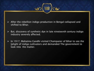  After the rebellion indigo production in Bengal collapsed and
shifted to Bihar.
 But, discovery of synthetic dye in late nineteenth century indigo
industry severely affected.
 In 1917, Mahatma Gandhi visited Champaner of Bihar to see the
[plight of indigo cultivators and demanded The government to
look into the matter.
 