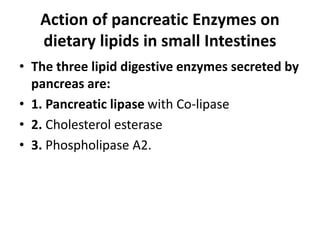 Action of pancreatic Enzymes on
dietary lipids in small Intestines
• The three lipid digestive enzymes secreted by
pancreas are:
• 1. Pancreatic lipase with Co-lipase
• 2. Cholesterol esterase
• 3. Phospholipase A2.
 