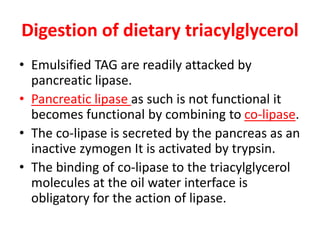 Digestion of dietary triacylglycerol
• Emulsified TAG are readily attacked by
pancreatic lipase.
• Pancreatic lipase as such is not functional it
becomes functional by combining to co-lipase.
• The co-lipase is secreted by the pancreas as an
inactive zymogen It is activated by trypsin.
• The binding of co-lipase to the triacylglycerol
molecules at the oil water interface is
obligatory for the action of lipase.
 