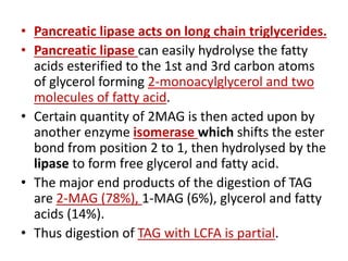 • Pancreatic lipase acts on long chain triglycerides.
• Pancreatic lipase can easily hydrolyse the fatty
acids esterified to the 1st and 3rd carbon atoms
of glycerol forming 2-monoacylglycerol and two
molecules of fatty acid.
• Certain quantity of 2MAG is then acted upon by
another enzyme isomerase which shifts the ester
bond from position 2 to 1, then hydrolysed by the
lipase to form free glycerol and fatty acid.
• The major end products of the digestion of TAG
are 2-MAG (78%), 1-MAG (6%), glycerol and fatty
acids (14%).
• Thus digestion of TAG with LCFA is partial.
 