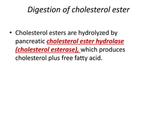 Digestion of cholesterol ester
• Cholesterol esters are hydrolyzed by
pancreatic cholesterol ester hydrolase
(cholesterol esterase), which produces
cholesterol plus free fatty acid.
 