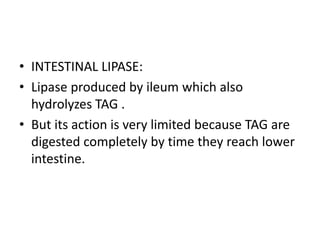 • INTESTINAL LIPASE:
• Lipase produced by ileum which also
hydrolyzes TAG .
• But its action is very limited because TAG are
digested completely by time they reach lower
intestine.
 