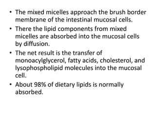 • The mixed micelles approach the brush border
membrane of the intestinal mucosal cells.
• There the lipid components from mixed
micelles are absorbed into the mucosal cells
by diffusion.
• The net result is the transfer of
monoacylglycerol, fatty acids, cholesterol, and
lysophospholipid molecules into the mucosal
cell.
• About 98% of dietary lipids is normally
absorbed.
 