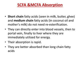SCFA &MCFA Absorption
• Short chain fatty acids (seen in milk, butter, ghee)
and medium chain fatty acids (in coconut oil and
mother's milk) do not need re-esterification.
• They can directly enter into blood vessels, then to
portal vein, finally to liver where they are
immediately utilized for energy.
• Their absorption is rapid.
• They are better absorbed than long chain fatty
acids
 