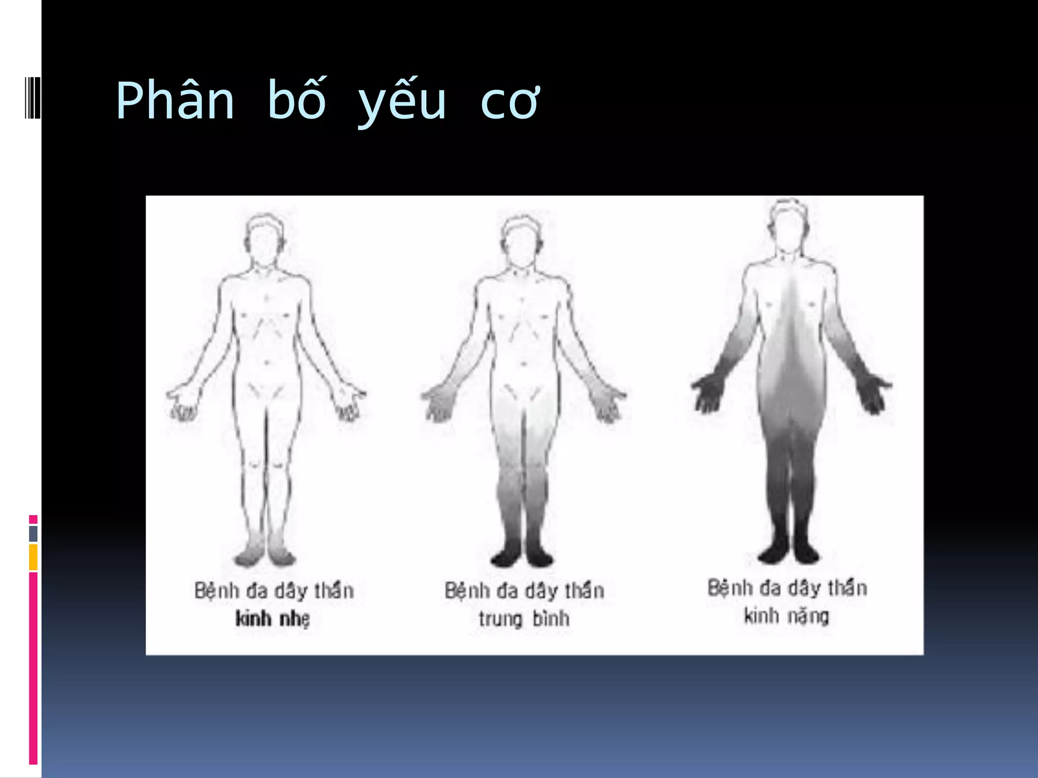 Phân bố yếu cơ
 