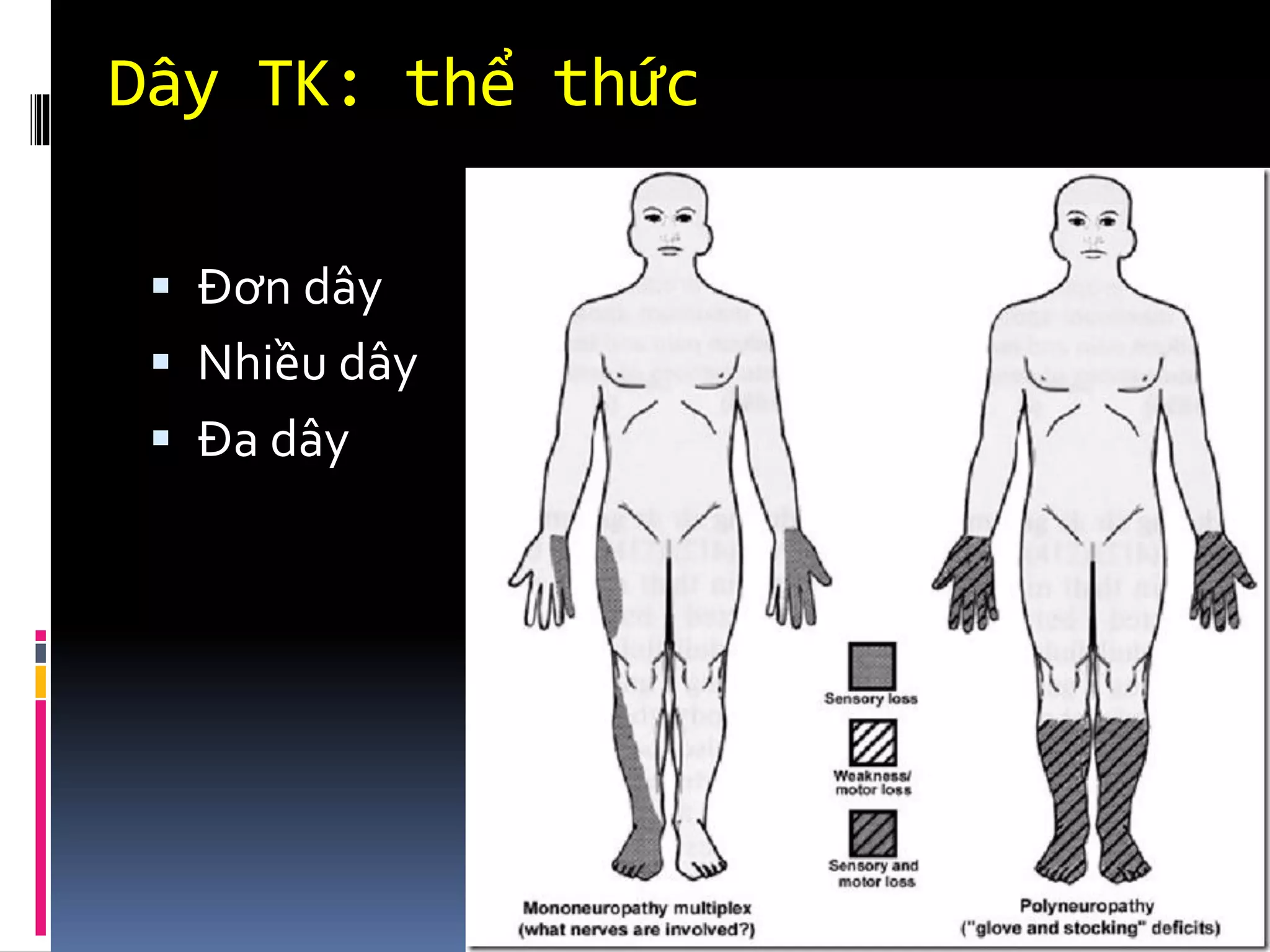 Dây TK: thể thức
▪ Đơn dây
▪ Nhiều dây
▪ Đa dây
 