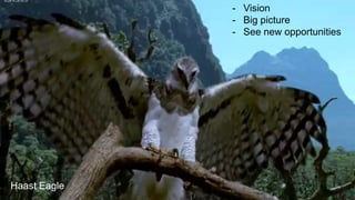 - Vision
- Big picture
- See new opportunities
Haast Eagle
 
