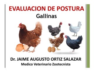 Dr. JAIME AUGUSTO ORTIZ SALAZAR
Medico Veterinario Zootecnista
EVALUACION DE POSTURA
Gallinas
 