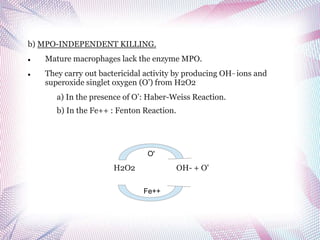 Fe Inflammation - Part 1. | PPT