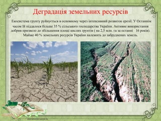 Деградація земельних ресурсів
Екосистема грунту руйнується в основному через інтенсивний розвиток ерозії. У Останнім
часом їй піддалося більше 35 % сільського господарства України. Активне використання
добрив призвело до збільшення площі кислих ґрунтів ( на 2,5 млн. га за останні 16 років).
Майже 40 % земельних ресурсів України належить до забруднених земель.
 