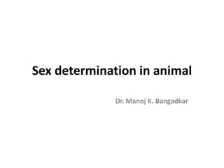 Sex determination in animal
Dr. Manoj K. Bangadkar
 