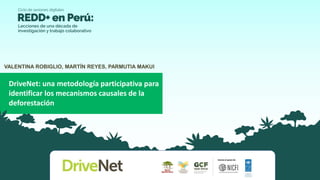 VALENTINA ROBIGLIO, MARTÍN REYES, PARMUTIA MAKUI
DriveNet: una metodología participativa para
identificar los mecanismos c...